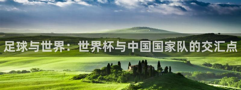 世界杯预选赛亚洲：足球与世界：世界杯与中国国家队的交汇点