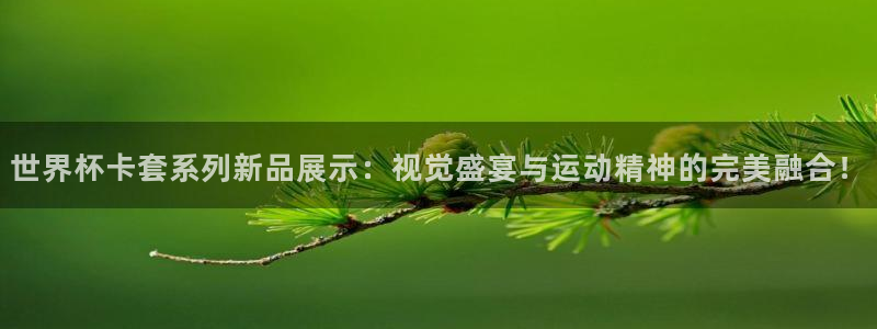 世界杯赛程表2026：世界杯卡套系列新品展示：视觉盛宴与运动精神的完美融合！