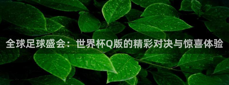 2006世界杯：全球足球盛会：世界杯Q版的精彩对决与惊喜体验