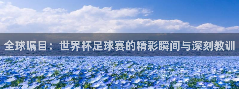 世界杯今年：全球瞩目：世界杯足球赛的精彩瞬间与深刻教训