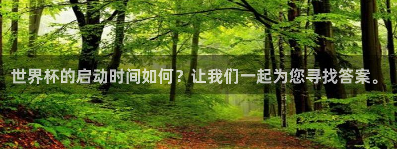 2026世界杯小组赛赛程时间表：世界杯的启动时间如何？让我们一起为您寻找答案。