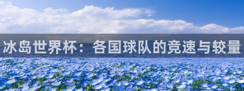 世界杯葡萄牙赛程：冰岛世界杯：各国球队的竞速与较量