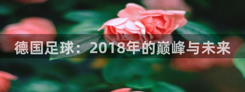 国际足联世界杯：德国足球：2018年的巅峰与未来