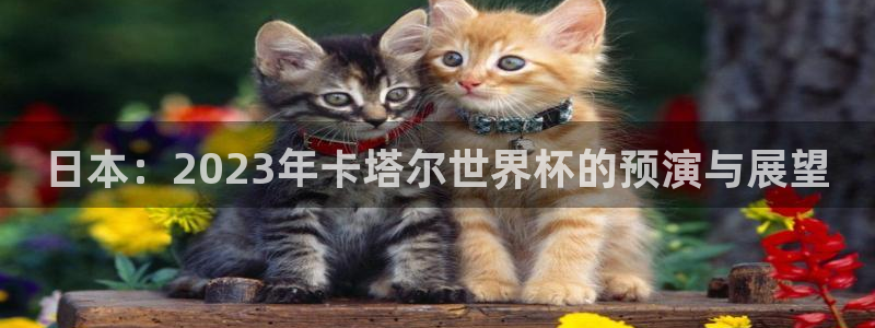 世界杯第一场比赛：日本：2023年卡塔尔世界杯的预演与展望