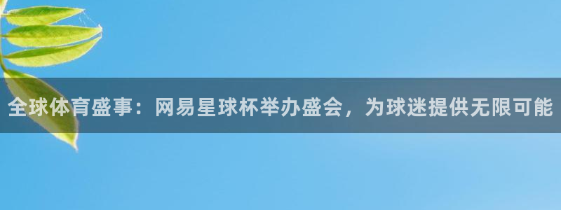 2026世界杯赛程表完整版：全球体育盛事：网易星球杯举办盛会，为球迷提供无限可能