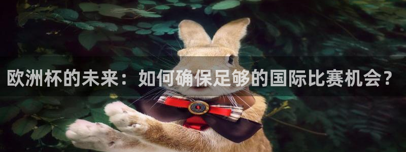 世界杯球赛：欧洲杯的未来：如何确保足够的国际比赛机会？