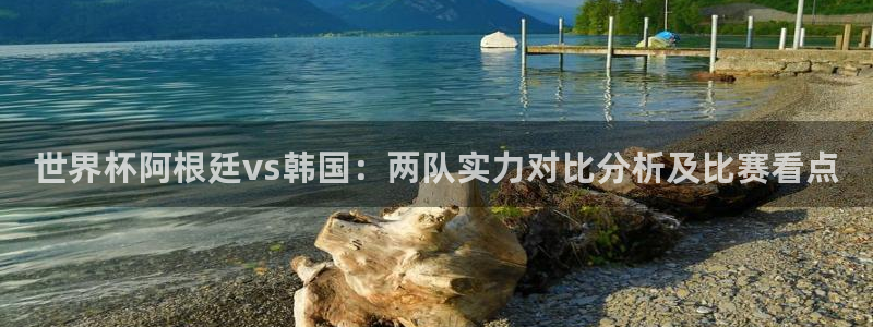 世界杯 2026：世界杯阿根廷vs韩国：两队实力对比分析及比赛看点