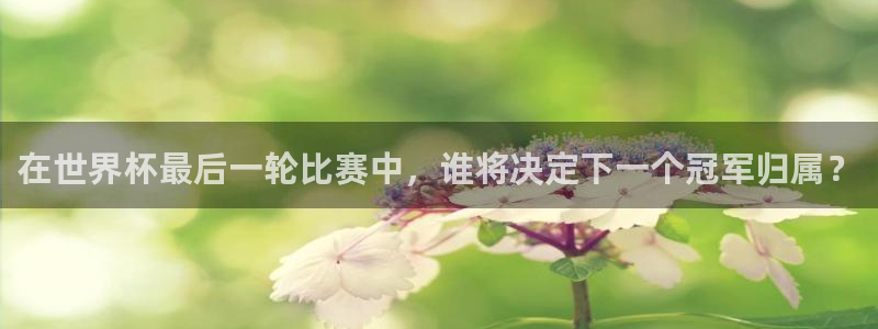 2026世界杯赛程表完整版：在世界杯最后一轮比赛中，谁将决定下一个冠军归属？