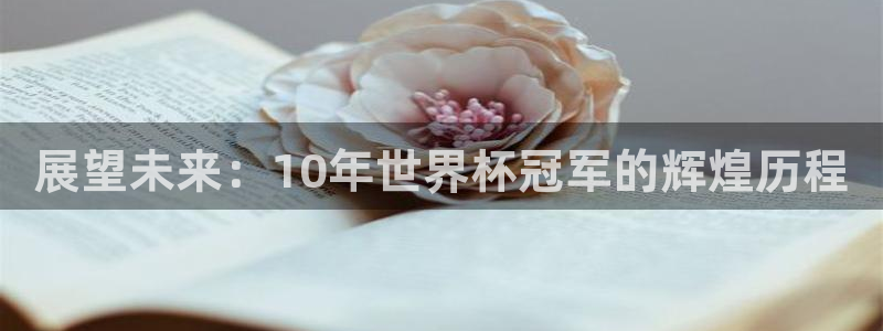 世界杯亚洲区预选赛：展望未来：10年世界杯冠军的辉煌历程