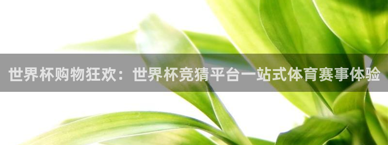 2026世界杯直播免费观看：世界杯购物狂欢：世界杯竞猜平台一站式体育赛事体验