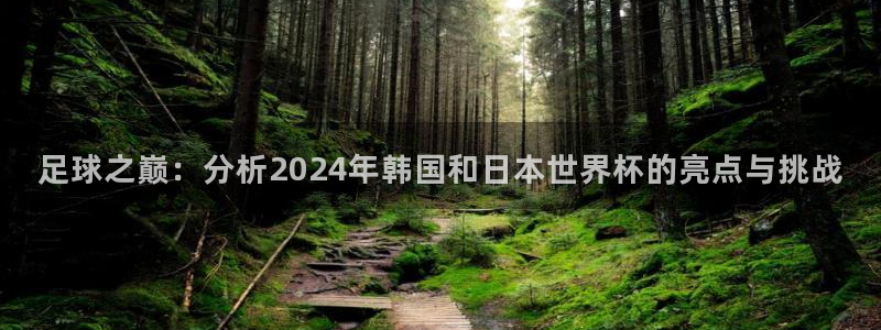 世界杯亚洲区预选赛赛程：足球之巅：分析2024年韩国和日本世界杯的亮点与挑战