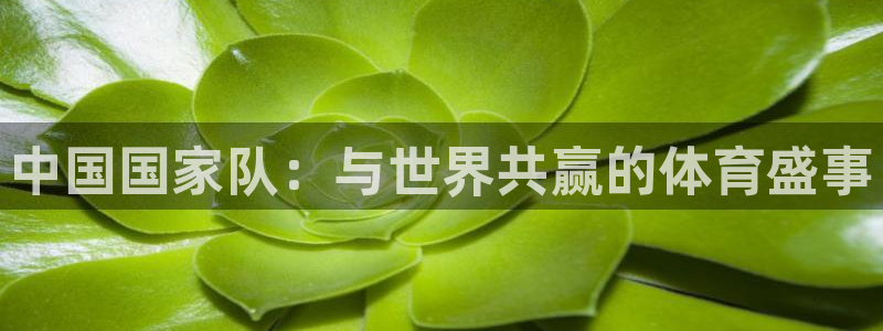 2026世界杯亚洲区预选赛赛程：中国国家队：与世界共赢的体育盛事