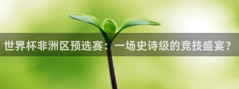 2026年世界杯对阵图：世界杯非洲区预选赛：一场史诗级的竞技盛宴？