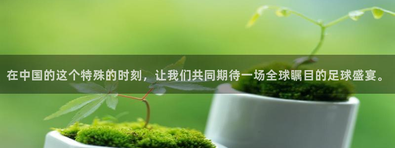 世界杯在线直播：在中国的这个特殊的时刻，让我们共同期待一场全球瞩目的足球盛宴。