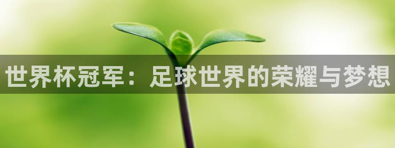 2026世界杯倒计时：世界杯冠军：足球世界的荣耀与梦想