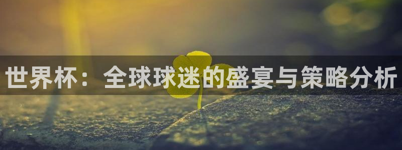 2026世界杯32强对阵图表：世界杯：全球球迷的盛宴与策略分析