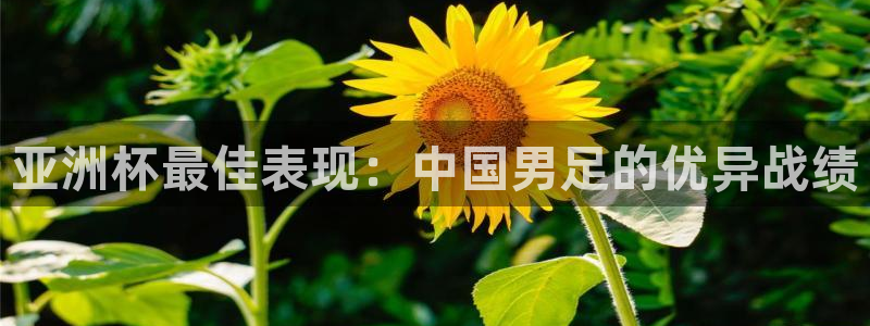世界杯亚洲区预选赛：亚洲杯最佳表现：中国男足的优异战绩