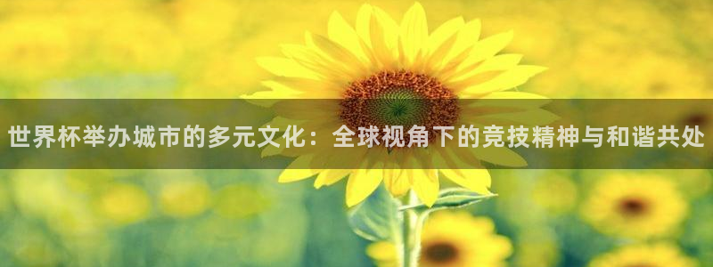世界杯2026赛程表：世界杯举办城市的多元文化：全球视角下的竞技精神与和谐共处